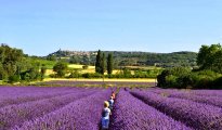 Uzès photo #27