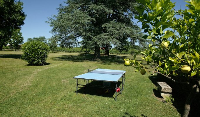 Ping Pong - les Grands Meres - Chateau La Gontrie